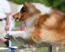 20130616-cckc-0018