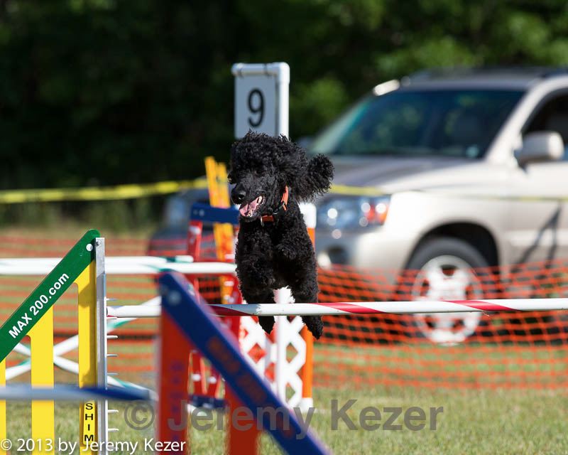 20130616-cckc-0003.jpg