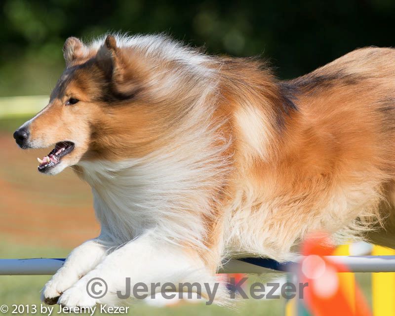 20130616-cckc-0017.jpg