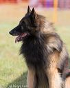 20130616-cckc-0100