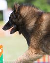 20130616-cckc-0101