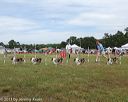 20130616-cckcmc-0080