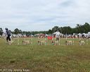 20130616-cckcmc-0084