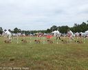 20130616-cckcmc-0087