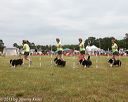 20130616-cckcmc-0050
