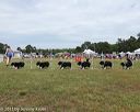 20130616-cckcmc-0056