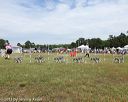 20130616-cckcmc-0059
