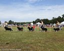 20130616-cckcmc-0068