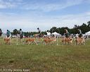 20130616-cckcmc-0071