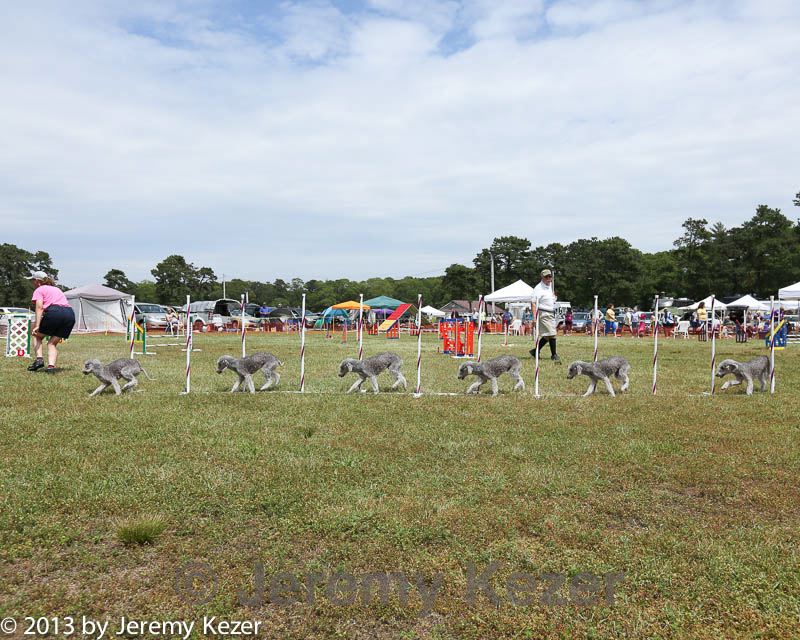 20130616-cckcmc-0059.jpg