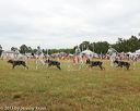 20130616-cckcmc-0024