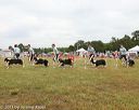20130616-cckcmc-0031