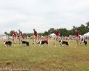 20130616-cckcmc-0033