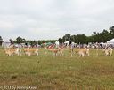 20130616-cckcmc-0034