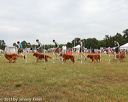 20130616-cckcmc-0036