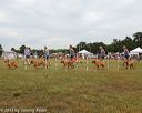 20130616-cckcmc-0038