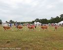 20130616-cckcmc-0041