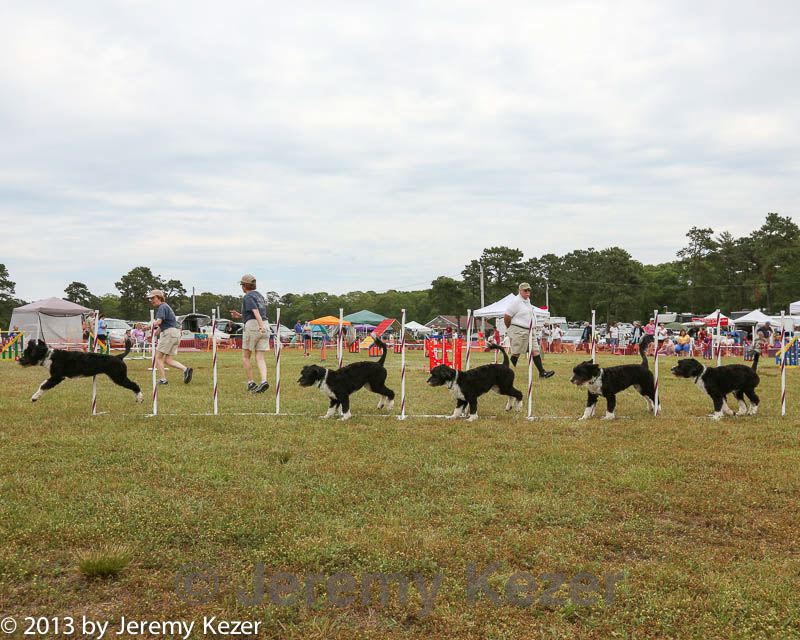 20130616-cckcmc-0018.jpg