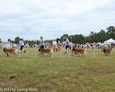 20130616-cckcmc-0001