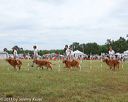 20130616-cckcmc-0004