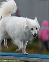 20131026-neat-0271