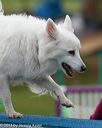 20131026-neat-0272
