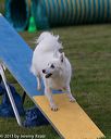 20131026-neat-0275
