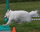 20131026-neat-0278