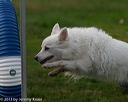 20131026-neat-0280