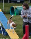 20131026-neat-0285