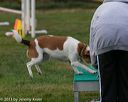 20131026-neat-0288