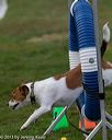 20131026-neat-0289
