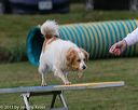 20131026-neat-0296