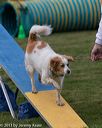 20131026-neat-0297