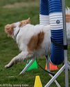 20131026-neat-0301
