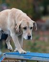 20131026-neat-0303