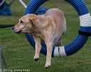 20131026-neat-0308