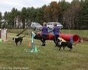 20131026-mc-0011