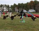 20131026-mc-0013