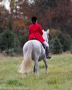 20131026-neat-0418