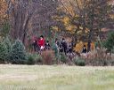 20131026-neat-0429