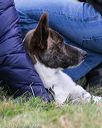 20131026-neat-0531