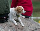 20131026-neat-0533