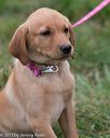 20131026-neat-0548