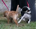 20131026-neat-0563