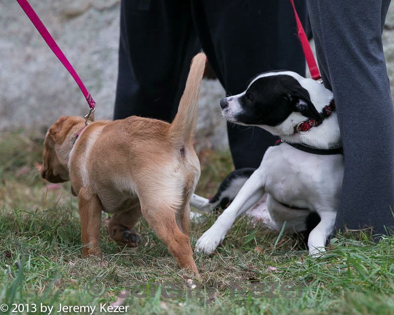 20131026-neat-0563.jpg