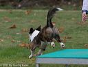 20131026-neat-0581