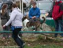 20131026-neat-0582