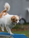 20131026-neat-0585