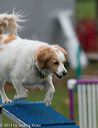 20131026-neat-0586